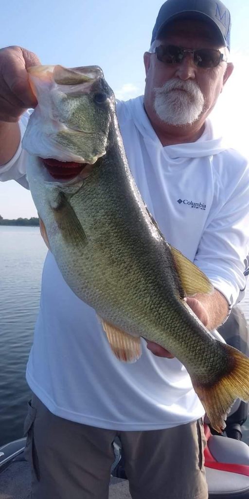 Bass fishing on Lake Fork